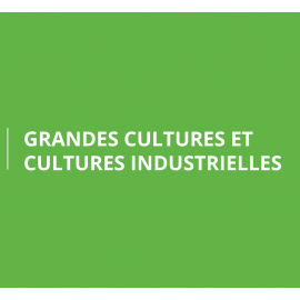 Grandes cultures et Cultures industrielles