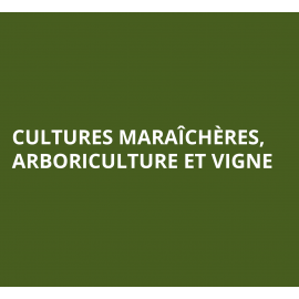 Cultures maraîchères, Arboriculture et Vigne