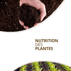 NUTRITION DES PLANTES