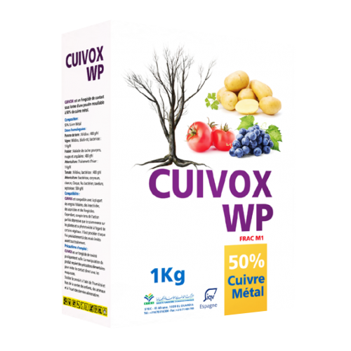 CUIVOX WP