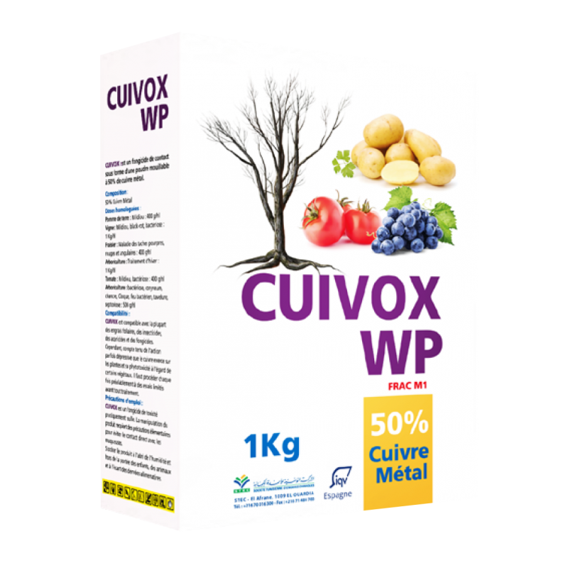 CUIVOX WP